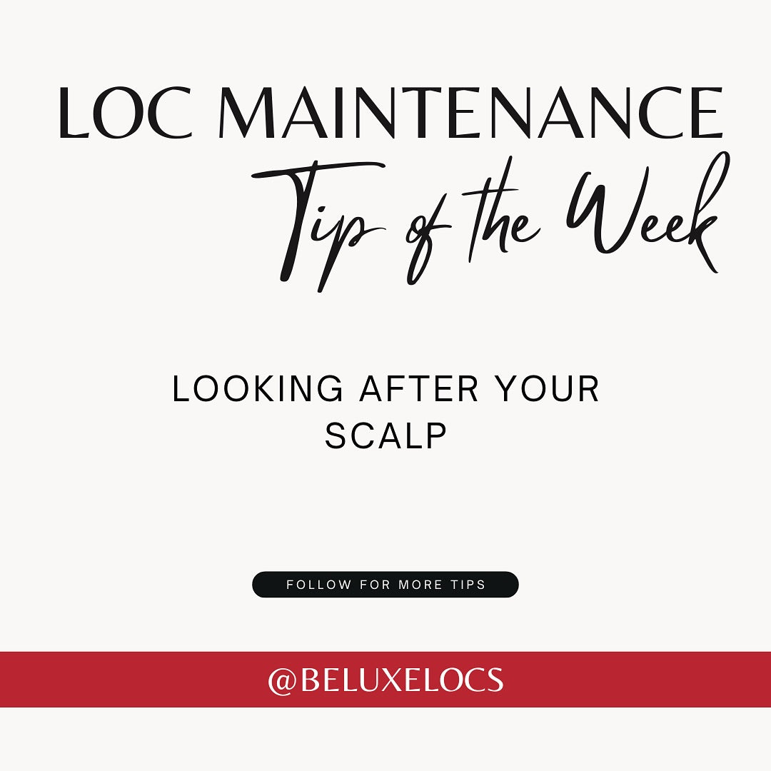 Loc Maintenance Tip of the Week - Looking After Your Scalp